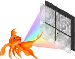 Spatially Varying Nanophotonic Neural Networks