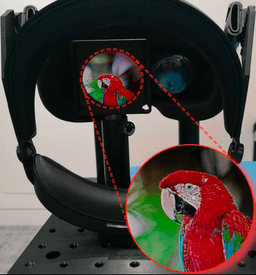 ChromaCorrect: Prescription Correction in Virtual Reality Headsets through Perceptual Guidance